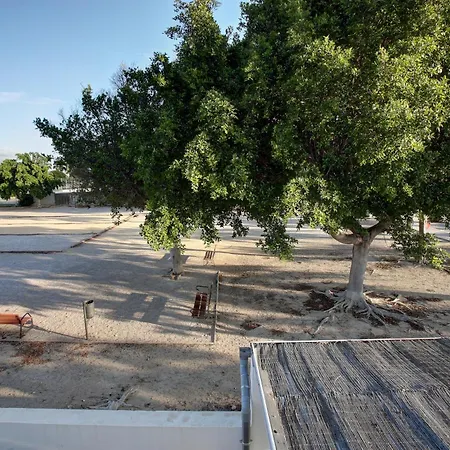 Casa Historia 德尼亚